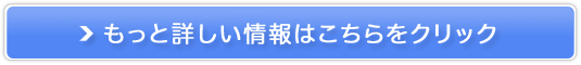 ̃`JŃLCƌCIy}}T|[gCY~z̔TCg